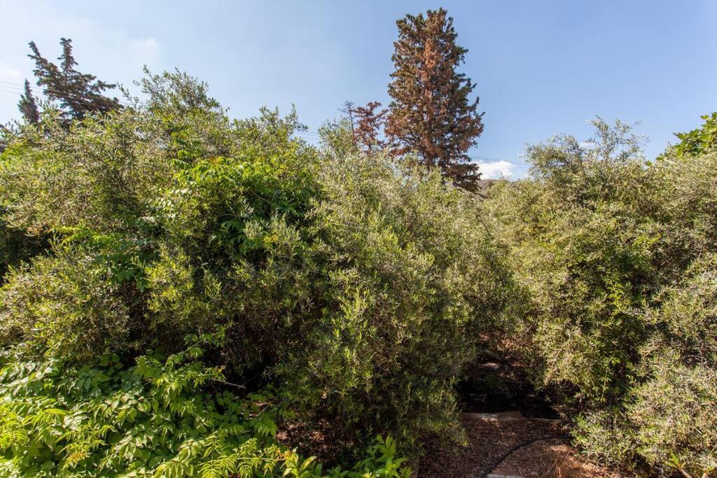 Kaktos 1 Villa Kissamos Bagian luar foto